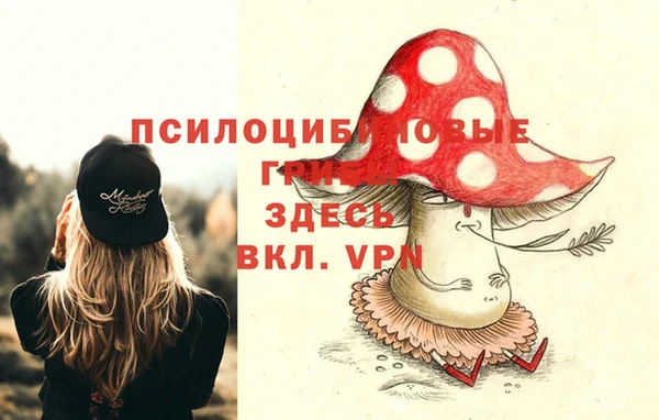 амф Абдулино