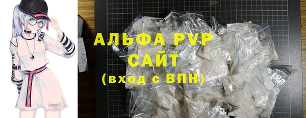 гашик Няндома