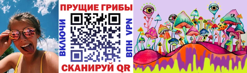 гидра как зайти  Яхрома  Псилоцибиновые грибы Cubensis 